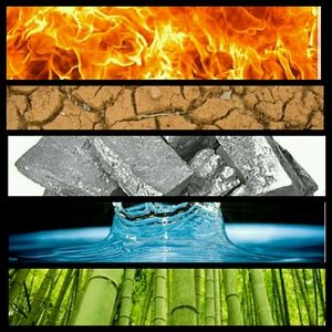 Meet your Posher, Mara